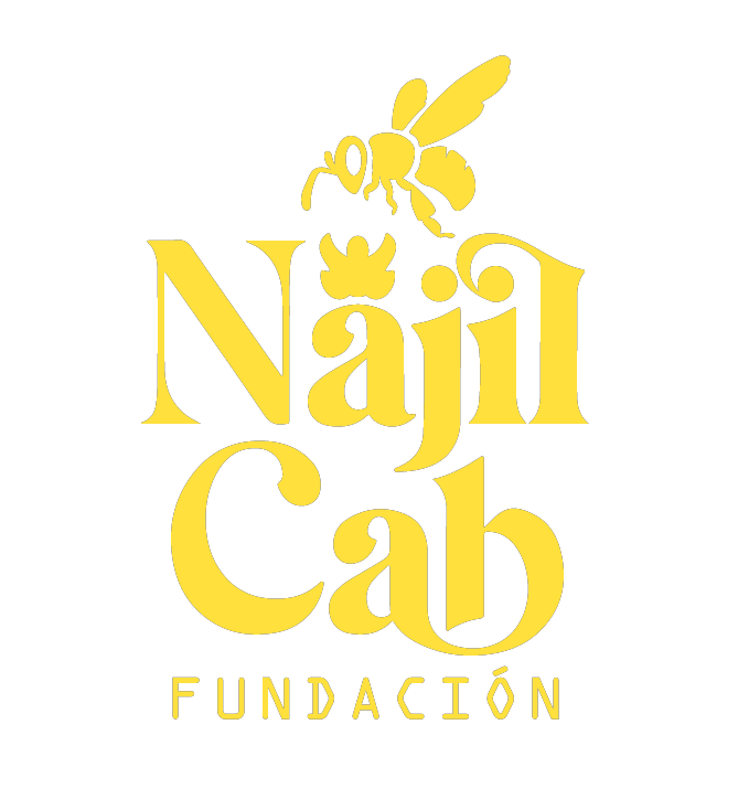 Najil Cab Foundation
